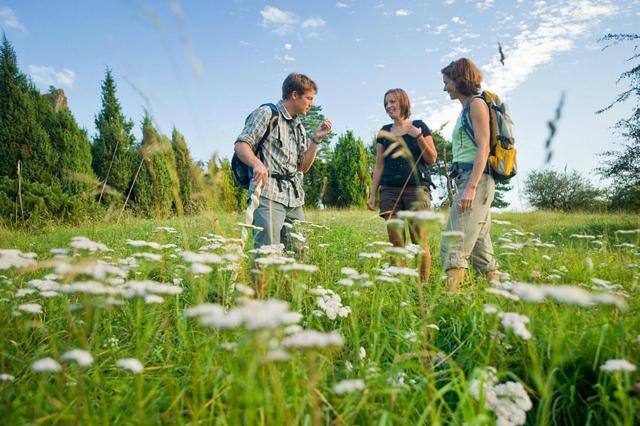 Nengshof Ferienwohnung Wildrose Wißmannsdorf Exteriör bild