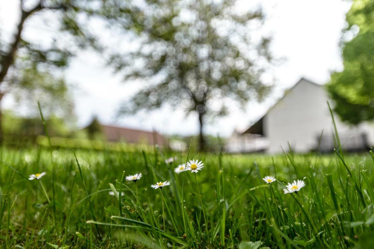 Nengshof Ferienwohnung Wildrose Wißmannsdorf Exteriör bild